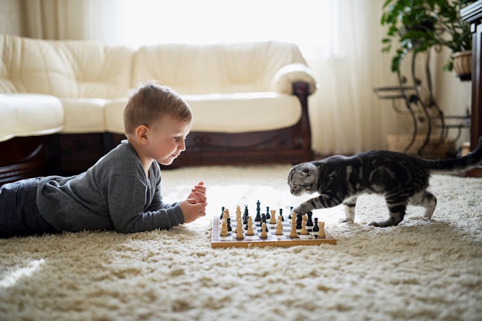 little boy plays with cat chess lying on the floor