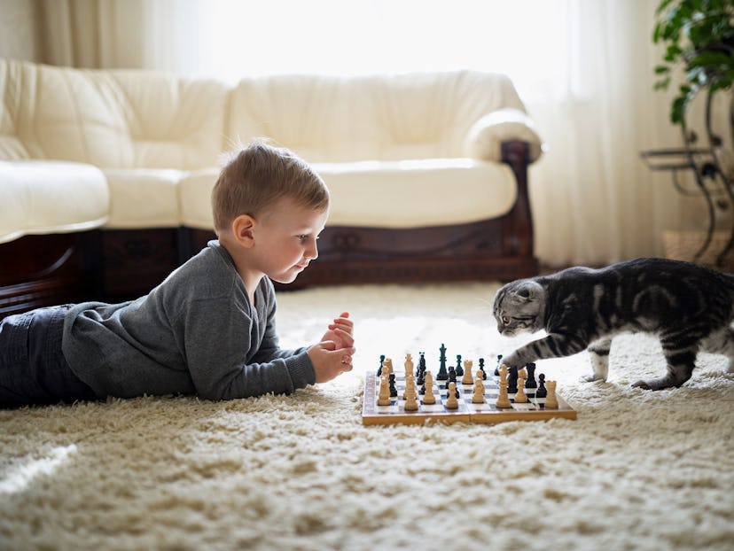 little boy plays with cat chess lying on the floor
