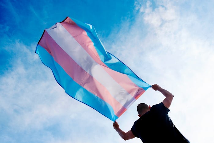 a young caucasian person, seen from behind, holding a transgender pride flag over his or her head ag...