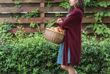 beautiful girl holding wicker basket with fresh picked apples