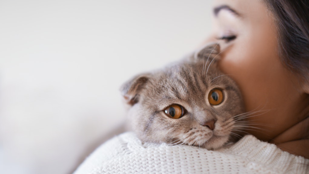 Why Don T I Have The Cat Face Filter It S Not Very Easy To Find