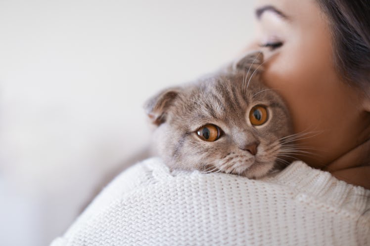 Beautiful young woman with cute cat resting at home