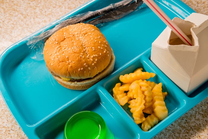 Elementary school lunch cheeseburger with ripple cut french fries gelatin and milk on blue tray