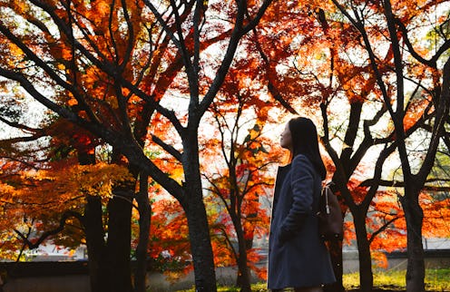 Asian girl looks up in the sky, with background of colorful autumn maple trees in Japanese garden, K...