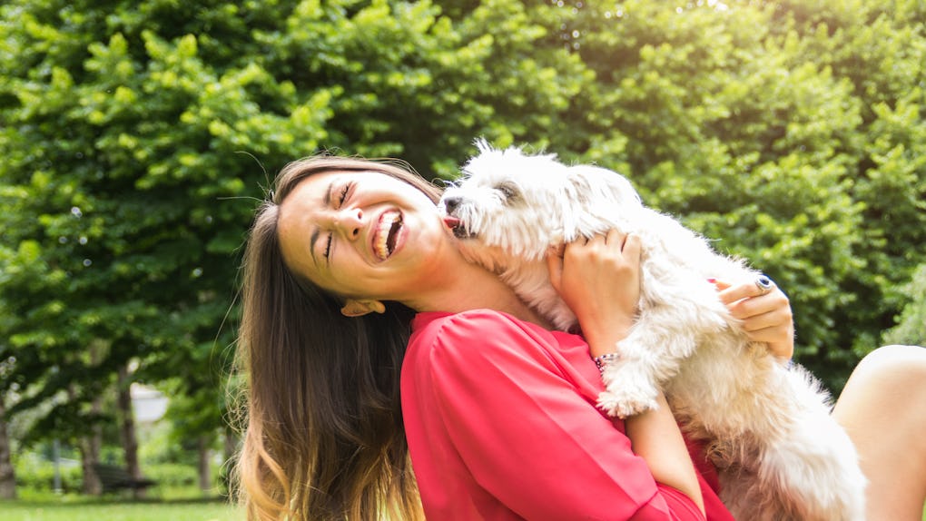 35 Funny Captions For Your Dog S Instagram That Ll Instantly Have You Loling