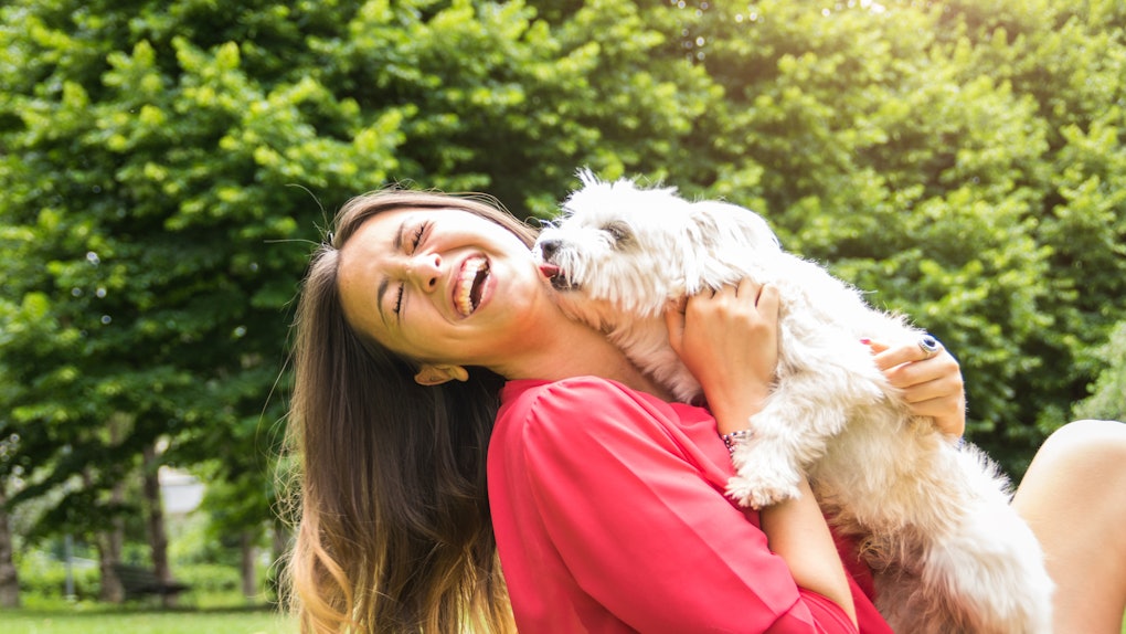 35 Funny Captions For Your Dog S Instagram That Ll Instantly Have You Loling