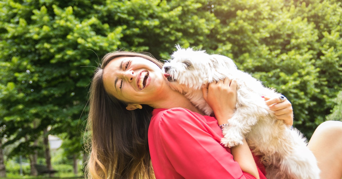 35 Funny Captions For Your Dog S Instagram That Ll Instantly Have You Loling