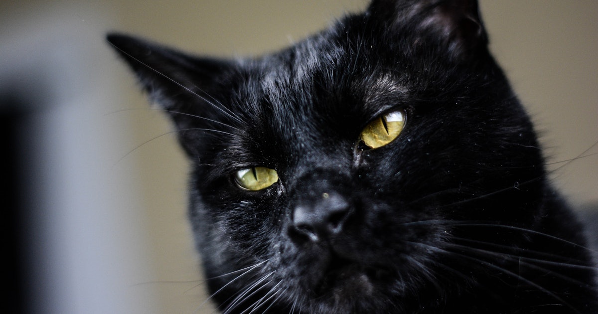 13 Fall Friday The 13th Instagram Captions To Spook Up Your Feed