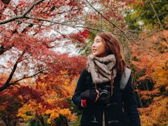 Outdoors lifestyle fashion portrait of pretty young woman on the autumn park in Enkoji Temple, Kyoto...