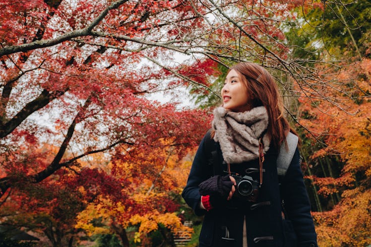 Outdoors lifestyle fashion portrait of pretty young woman on the autumn park in Enkoji Temple, Kyoto...