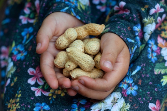 Handful of peanuts in the child hands