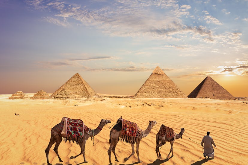 Camel caravan near the Great Pyramids of Giza in Egypt