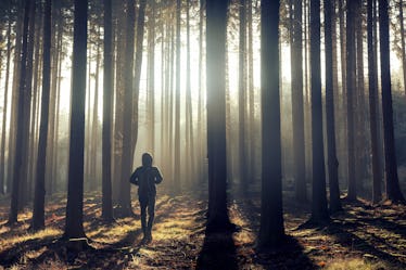 One man in the foggy forest at sunrise.