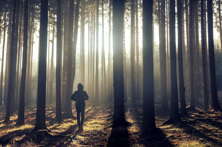 One man in the foggy forest at sunrise.