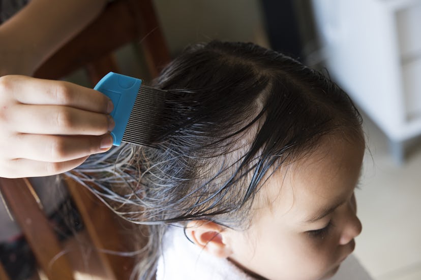 a girl is doing head lice treating. a closed up shot.