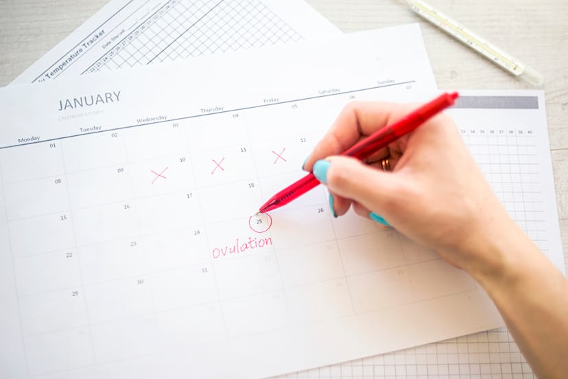 woman hand holds red highlighter with temperature mark on calendar, Concept of fertility chart, tryi...