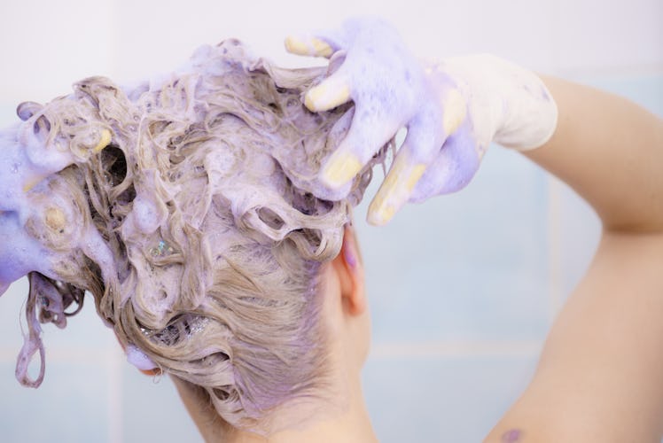 Woman applying coloring shampoo on her hair. Female having purple washing product. Toning blonde col...