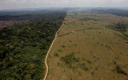 A deforested area near Novo Progresso in Brazil's northern state of Para. Brazil detained a land-gra...