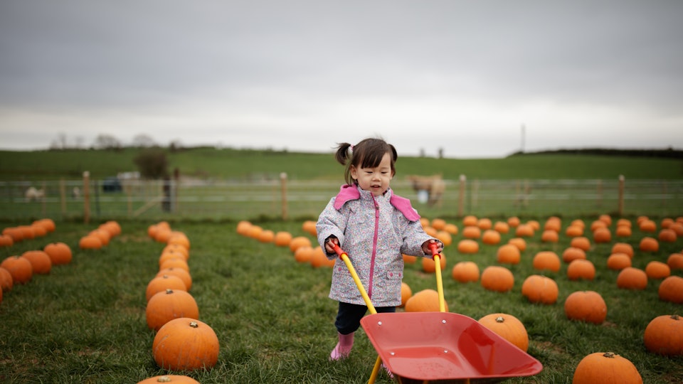 20 Relatable Instagram Captions For Fall The Most Fabulous Season Of All