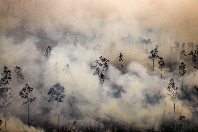 An aerial view of a burning forest in  Kapuas Hilir, Central Kalimantan, Indonesia, 21 September 201...
