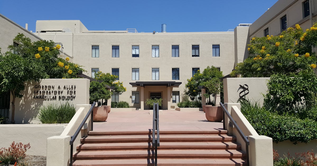 Калифорнийский технологический институт фото Калифорнийский технологический институт фото