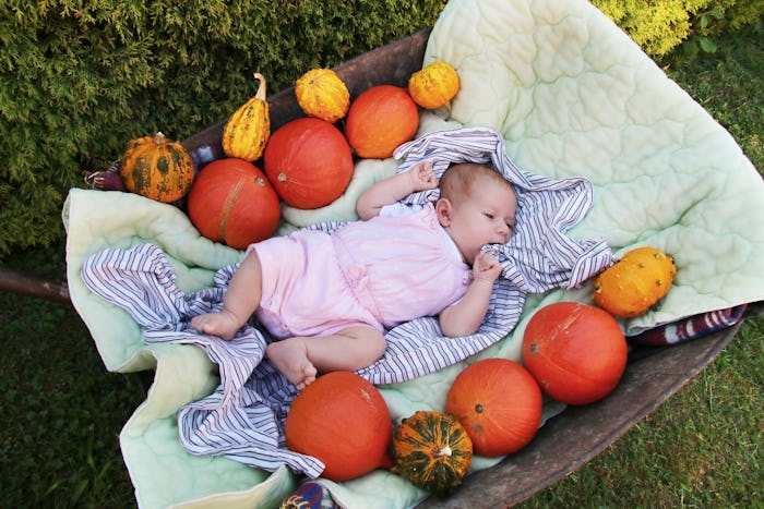Newborn baby lying between pumpkins on old wheelbarrow.