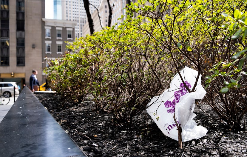 A plastic bag is seen caught in a bush in New York, New York, USA, 02 April 2019. The New York State...