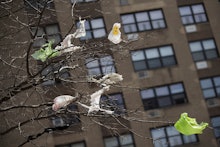 Plastic bags are seen stuck to the branches of a tree in the East Village neighborhood of Manhattan,...
