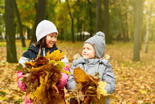 Two intercultural schoolkids with heaps of yellow leaves looking at each other in autumn park