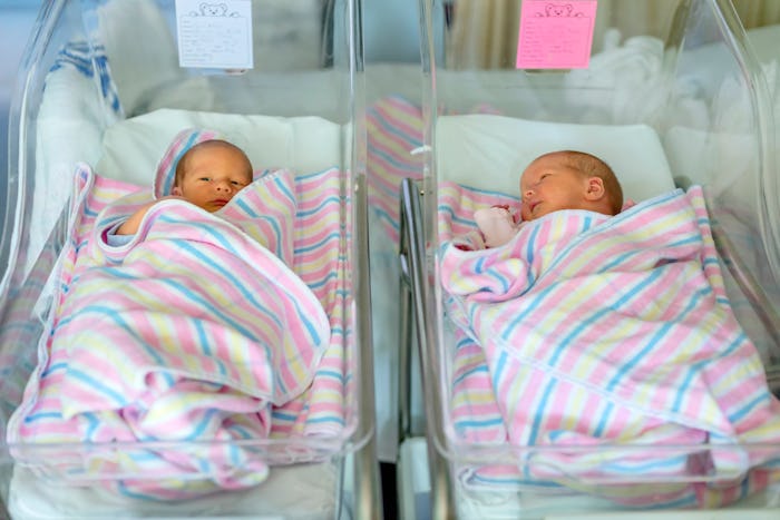 newborn twins boy and girl in hospital under blankets