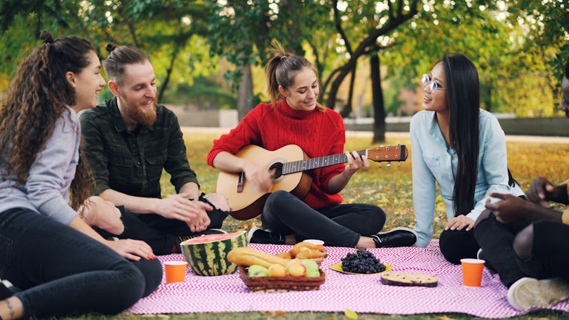 Charming young woman is playing the guitar sitting on blanket with friends on picnic, girls and guys...