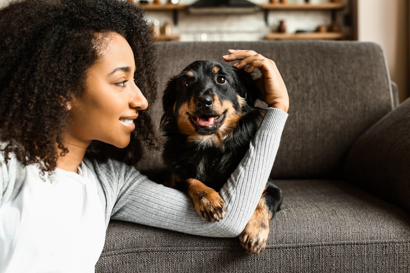 Beautiful African-American woman with cute dog at home