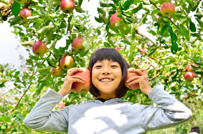 Girls enjoy picking apple