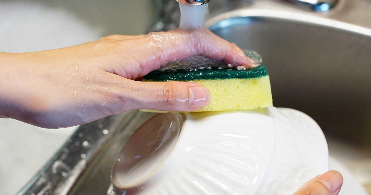 The Last Thing You Should Do With A Kitchen Sponge The, 47% OFF