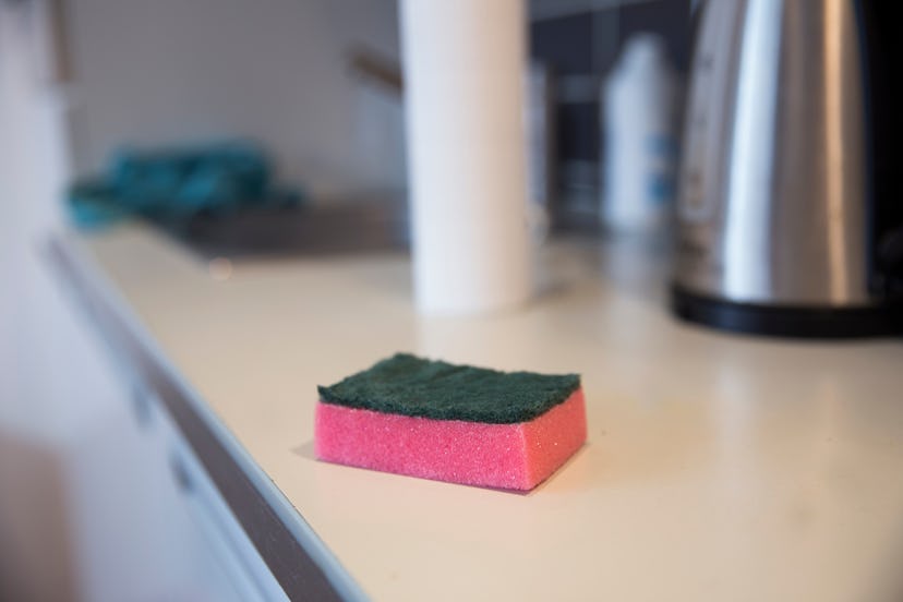 sponge in the kitchen