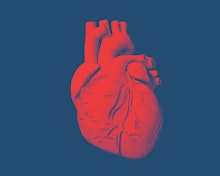 Engraving drawing human heart in red color on blue background
