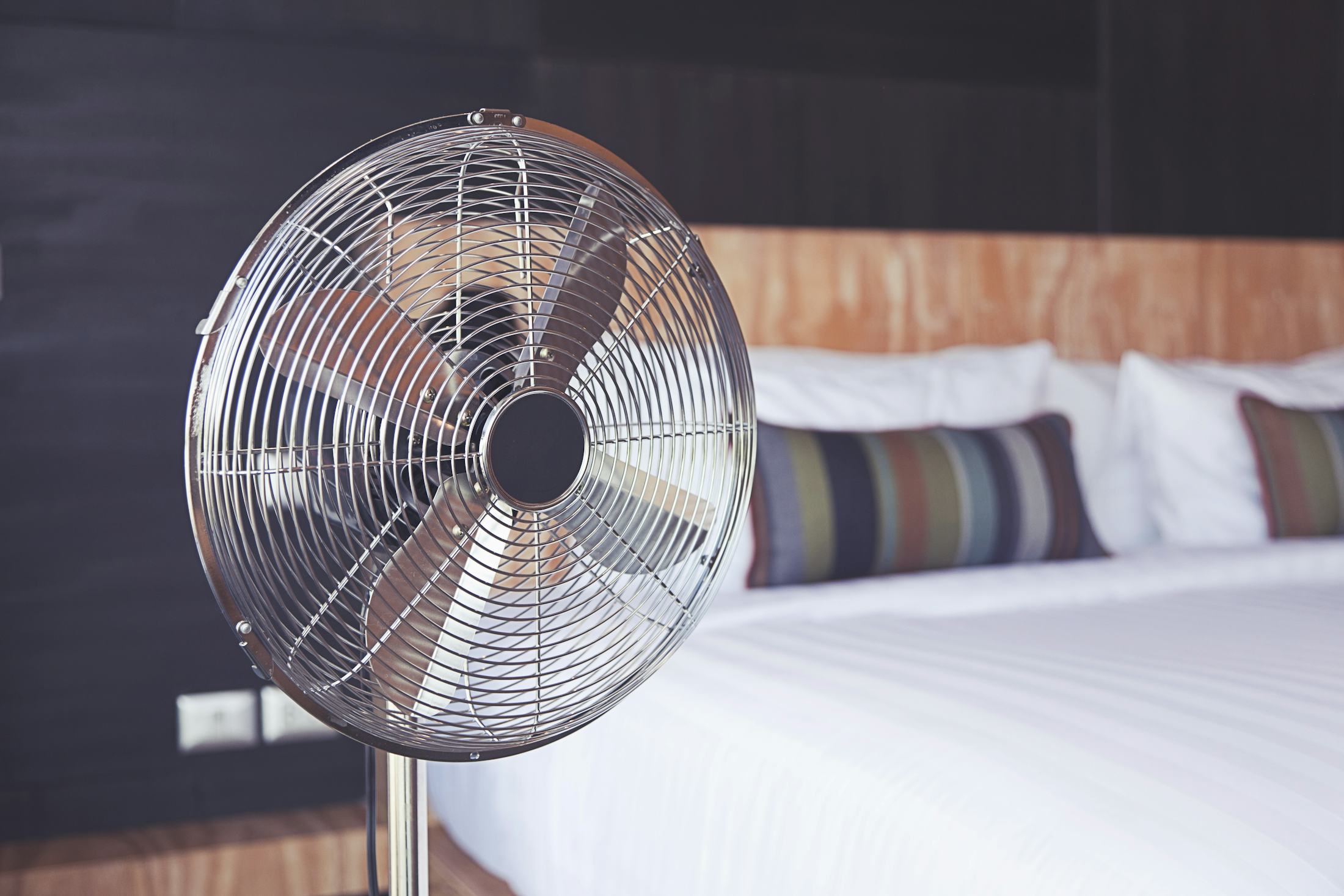 Does Sleeping With A Fan On Make You Sick? The Common Cold Is Caused By