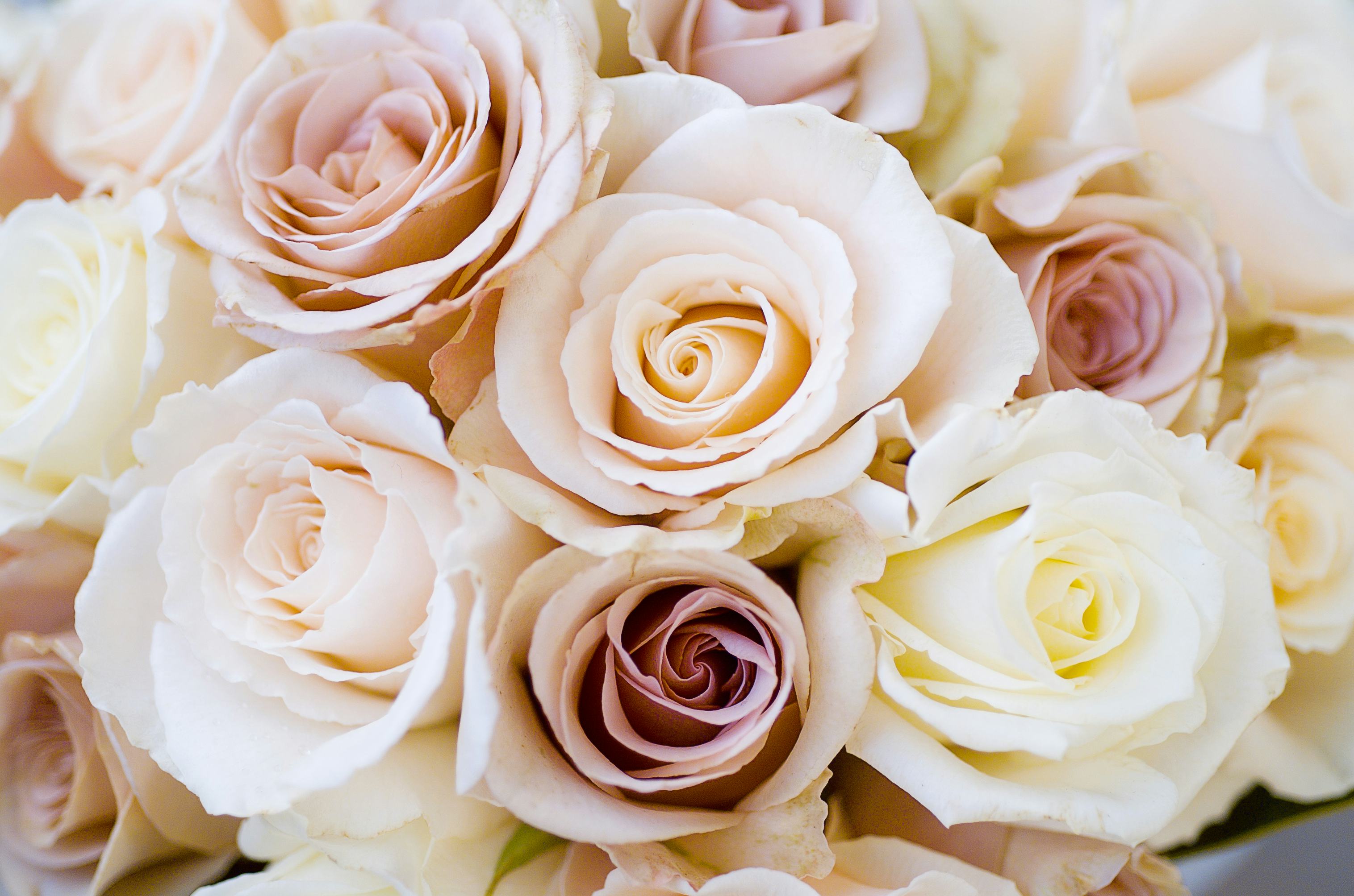 where to buy flowers for wedding