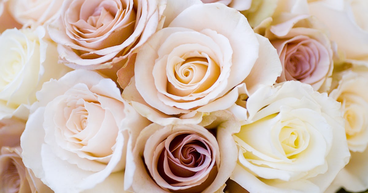 16 Cheap Wedding Flowers That Still Look Beautiful For Couples On A Tight Budget