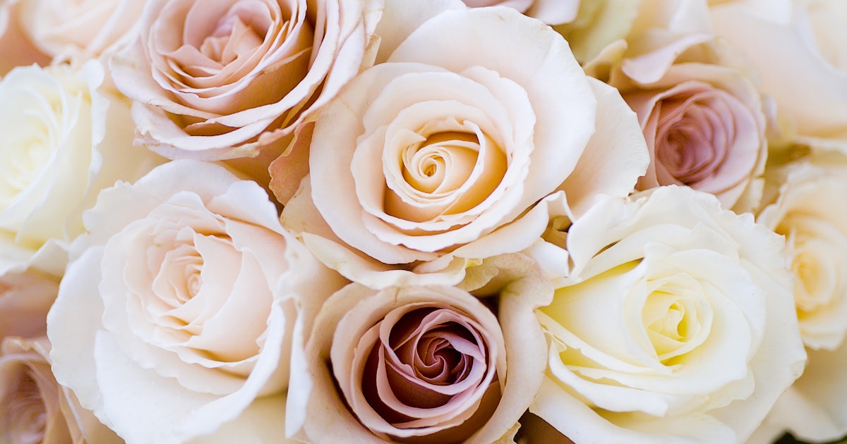 16 Cheap Wedding Flowers That Still Look Beautiful For Couples On