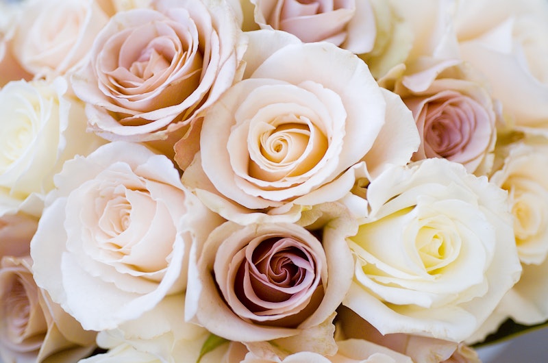 Bridal bouquet of beautiful Roses for a wedding