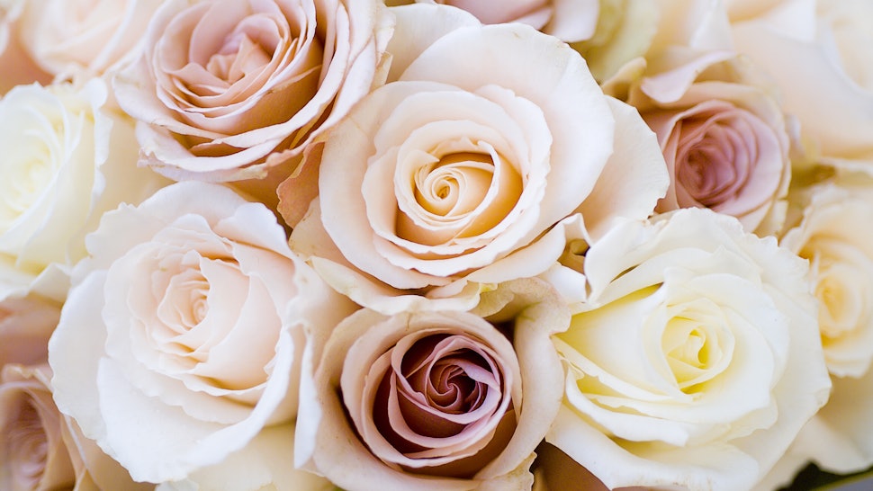 16 Cheap Wedding Flowers That Still Look Beautiful For Couples On