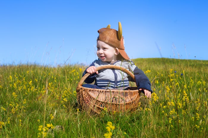 portrait of adorable baby toddler sitting in picnic basket on rural field with flowers in south swed...