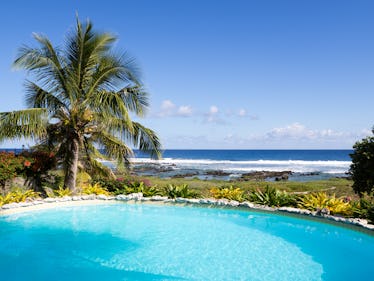 Dollar Flight Club's Jan. 16 Deals to the Cayman Islands can save you 50% off your airfare.