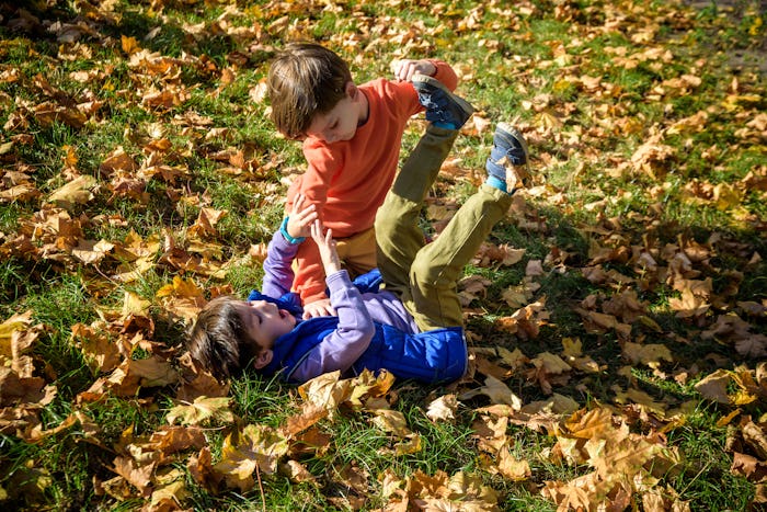 Toddler brothers often roughhouse, but it doesn't always mean that they're fighting or angry.