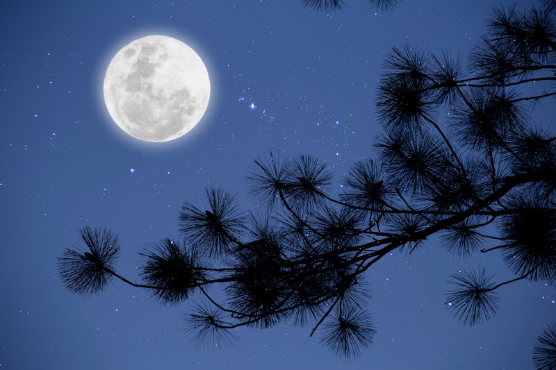 How The January 2020 Lunar Eclipse Full Moon Will Affect You ...