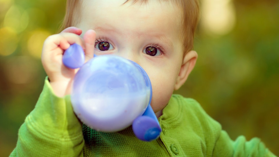 Can You Put Breast Milk In A Sippy Cup? Here's What ...