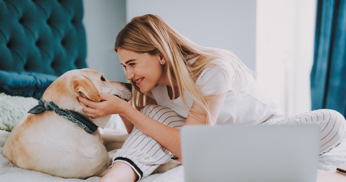 29 Instagram Captions For Your Dog On Valentine’s Day That Are So Sweet