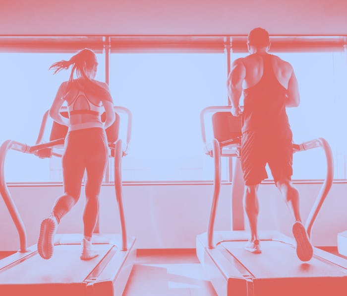 Back view of beautiful sports people running on a treadmill in gym