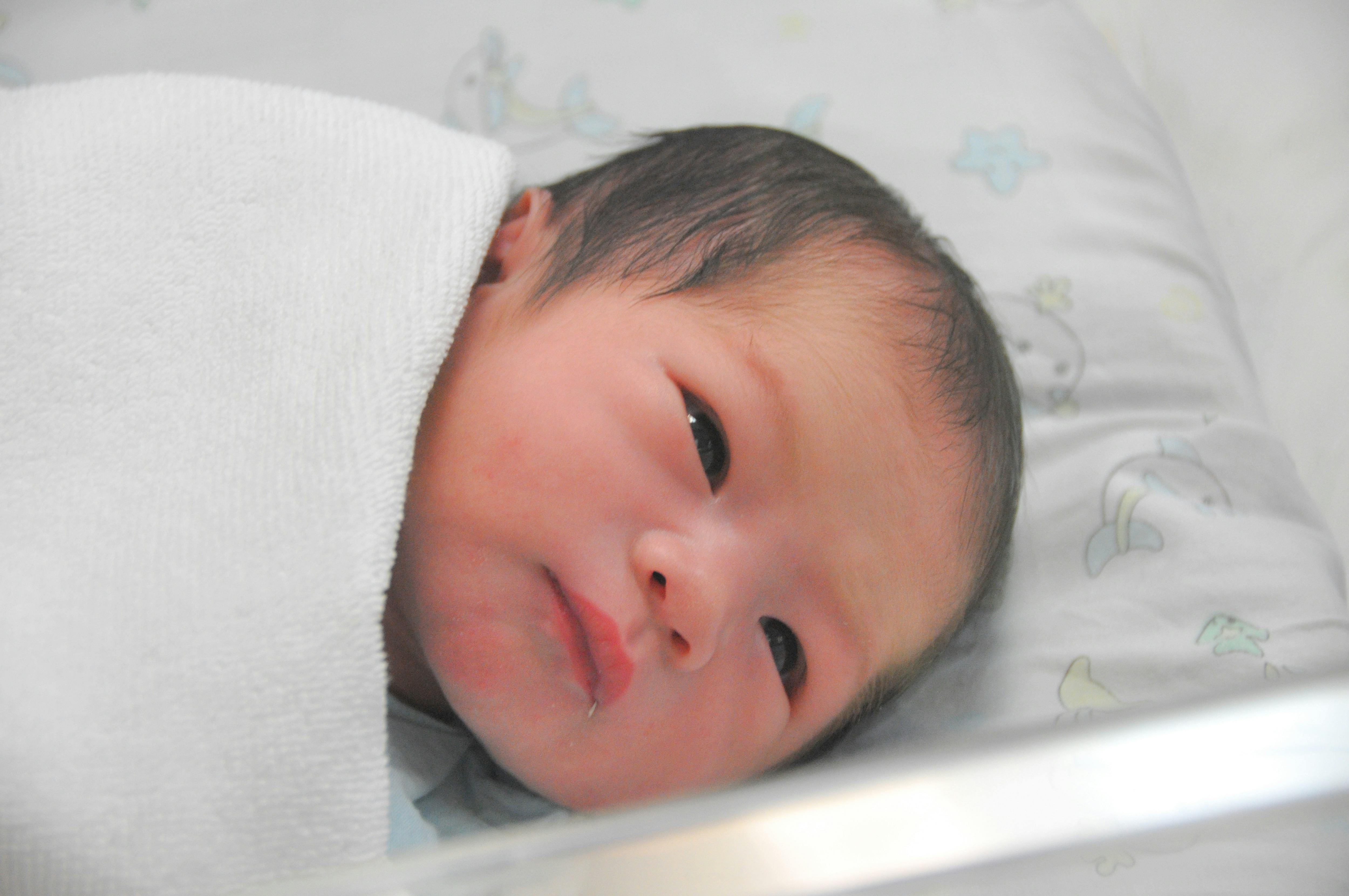 Giving Birth On Chinese New Year 2020 Means Courage &amp; Wealth For Your Baby